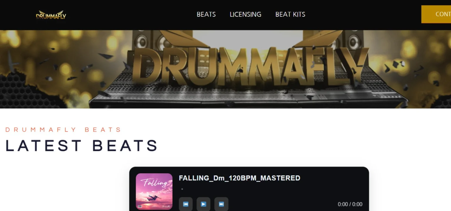 DrummaFly Beats | WordPress Website Design for Artists