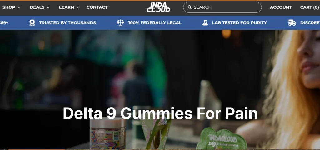 IndaCloud Website Screenshot