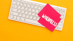 Custom WordPress Development