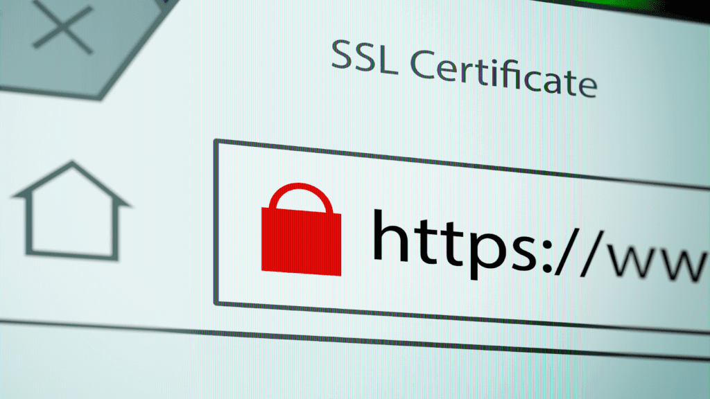 Unique Domains and SSL Requirements